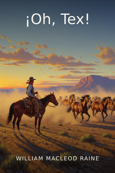 ¡Oh, Tex! by William MacLeod Raine — book cover