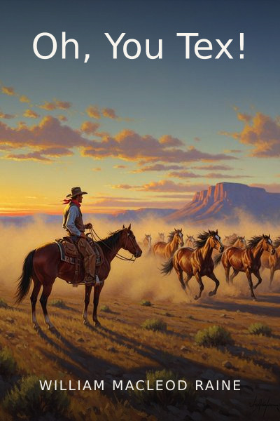 Oh, You Tex! by William MacLeod Raine — book cover