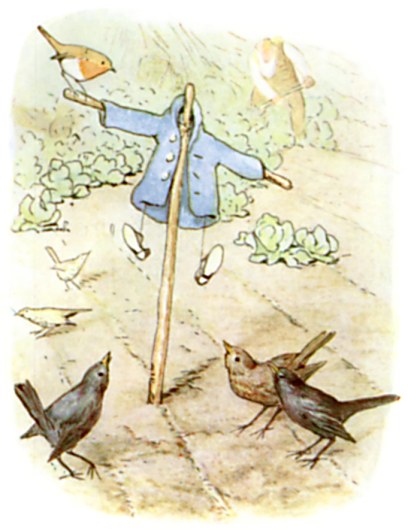 Illustration