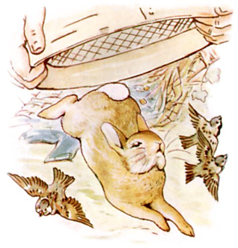 Illustration