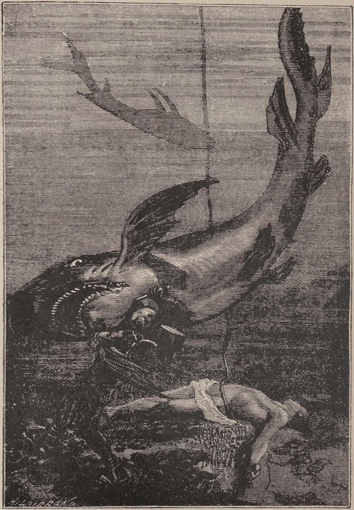 Illustration