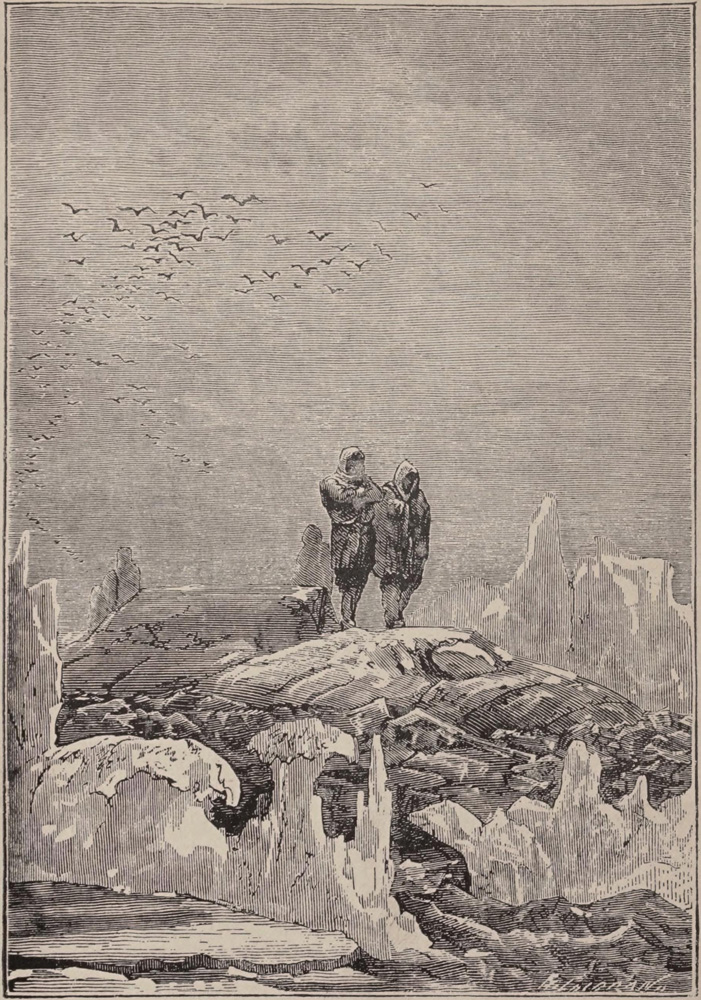 Illustration